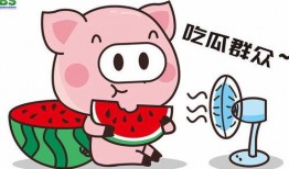 娱乐吃瓜八卦背景图高清,高清八卦图揭秘明星幕后故事