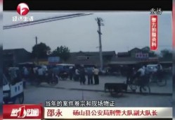 砀山事件爆料视频大全,真相与争议交织的舆论漩涡