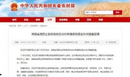 湖南省新闻爆料,揭秘当地热点事件背后的真相