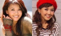 老综艺爆料明星整容视频,老综艺爆料视频曝光惊人内幕