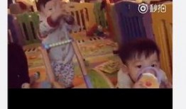 双胞胎相互爆料视频大全,揭秘双胞胎间的那些秘密与默契