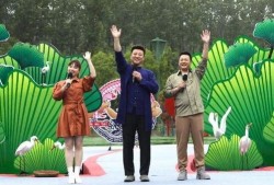 西安小火车爆料视频最新,揭秘神秘之旅背后的故事