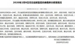 衡水爆料最新消息,最新消息揭示惊人真相！