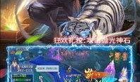 新武魂环爆料配置最新版,揭秘最新版神秘力量组合