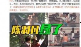 小厨合伙人爆料视频在线观看,独家内容在线观看解析
