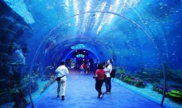 海洋赛季爆料视频大全,揭秘海洋世界新篇章