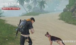海岛新玩法爆料视频下载,视频爆料带你畅游未知海域