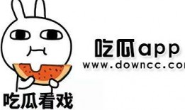 网红黑料视频吃瓜,一场网络吃瓜盛宴