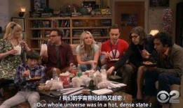 生活大爆炸第12季在线观看,笑对人生，智慧相伴