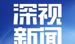 深圳市新闻爆料怎么编辑,聚焦城市热点，解码民生关切