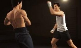 武之梦在线观看,探寻中华武术的传奇魅力
