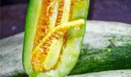 东北吃瓜网红叫什么,揭秘东北美食界的“瓜王”传奇