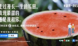 免费吃瓜文案怎么写啊,揭秘娱乐圈幕后故事