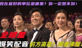 娱乐吃瓜号配音怎么做,如何打造引人入胜的趣味内容