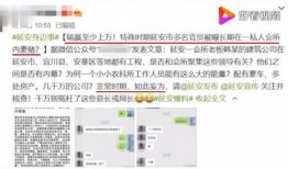 乐东官员爆料视频最新版,揭露惊人内幕