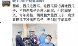 爸爸吃瓜吐籽小说免费阅读,一场温馨的亲子美食之旅