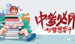 南航货站爆料最新消息,揭秘货运业务新动态与调整措施
