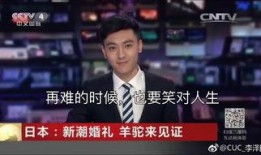 娱乐爆料男主播视频,娱乐爆料背后的真相