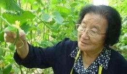吃瓜网红王大炮是谁,从网络红人到话题制造者的蜕变之路