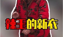 幽默爆料视频短片大全高清,高清盛宴来袭