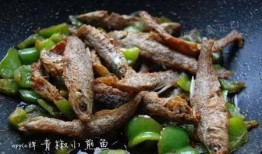 蚝油小鱼爆料视频教程大全,视频教程大全解析