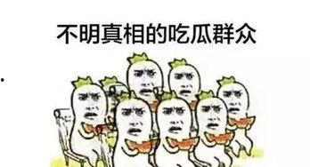 娱乐领域吃瓜群众
