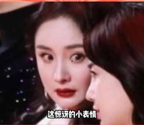 娱乐圈的瓜一般在哪里吃,揭秘明星八卦的聚集地